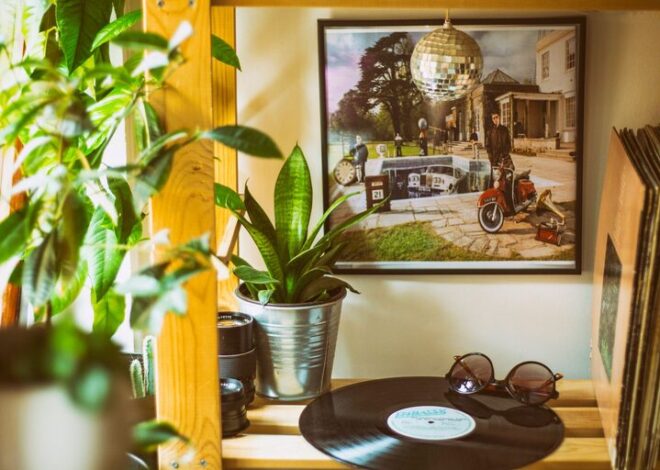 How to Refresh Your Home with Plants: Easy Tips for a Greener Space